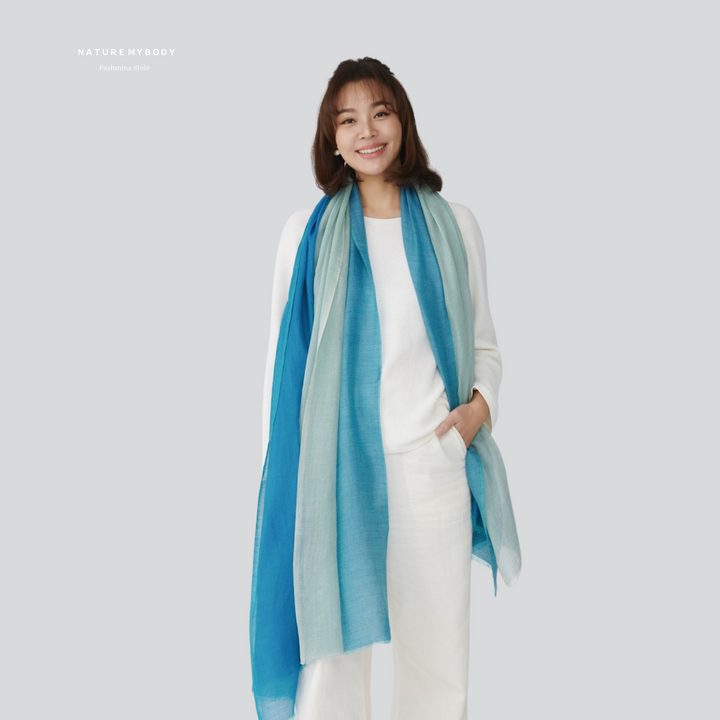 Bleu Élancé Pashmina Y-Shape Stole – Elegance in Motion