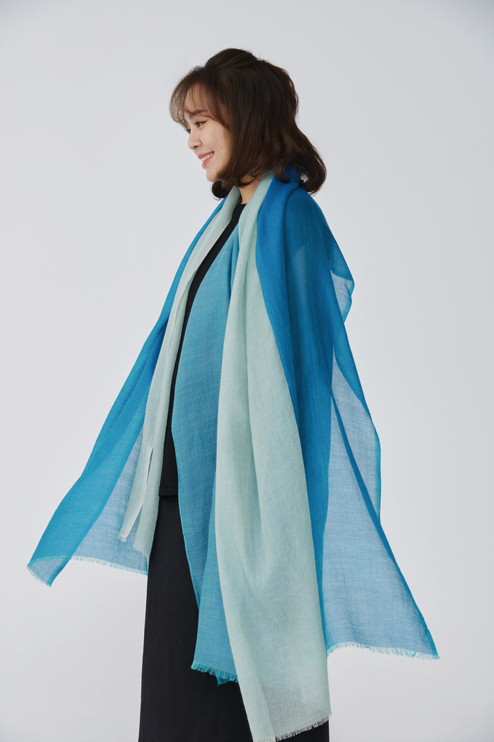 Bleu Élancé Pashmina Y-Shape Stole – Elegance in Motion